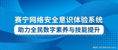 賽寧網(wǎng)絡安全意識體驗系統(tǒng) 數(shù)字技術服務新標桿，助力全民數(shù)字素養(yǎng)與技能提升